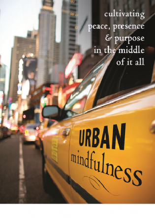 urban mindfulness paint